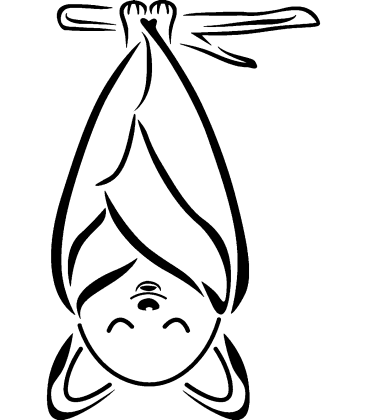 Bat Brouhaha pumpkin carving stencil