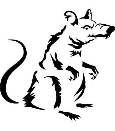 Crawling Spider pumpkin carving stencil