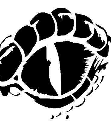 Draconian Gaze pumpkin carving stencil