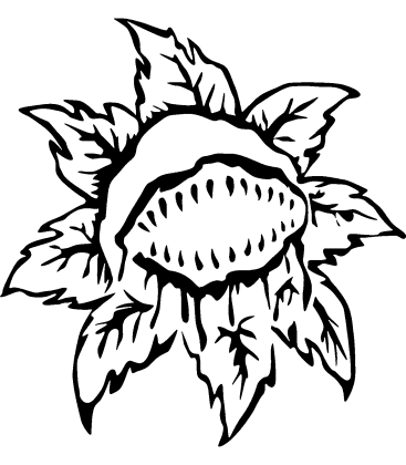 Predatory Petal pumpkin carving stencil